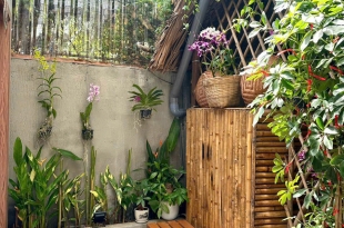 trai-nghiem-am-thuc-hai-san-tuoi-ngon-tai-quan-51-vung-tau